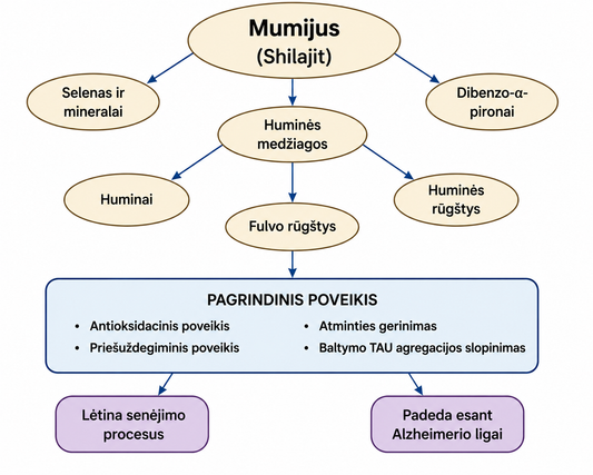 Mumijaus biocheminė sudėtis ir veikliosios medžiagos